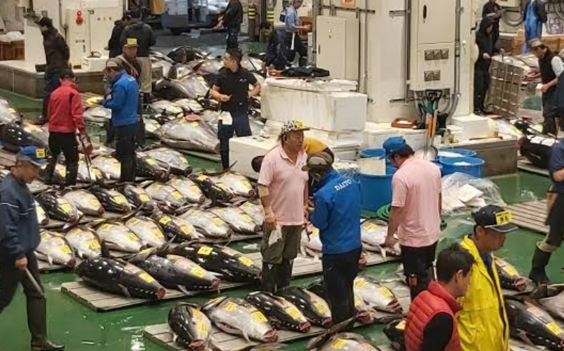 Toyosu Market